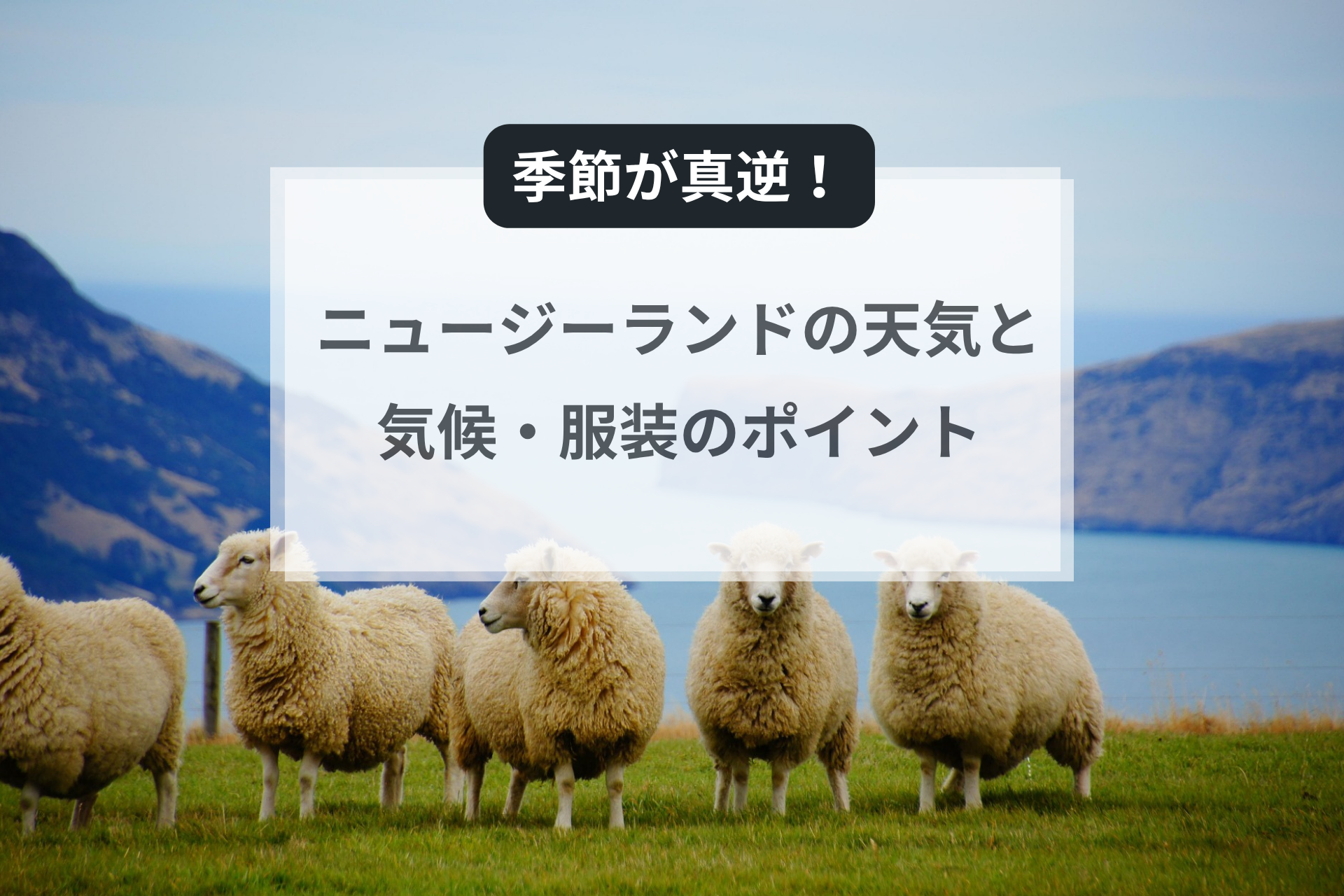 【季節が真逆！】ニュージーランドの天気と気候・服装のポイント